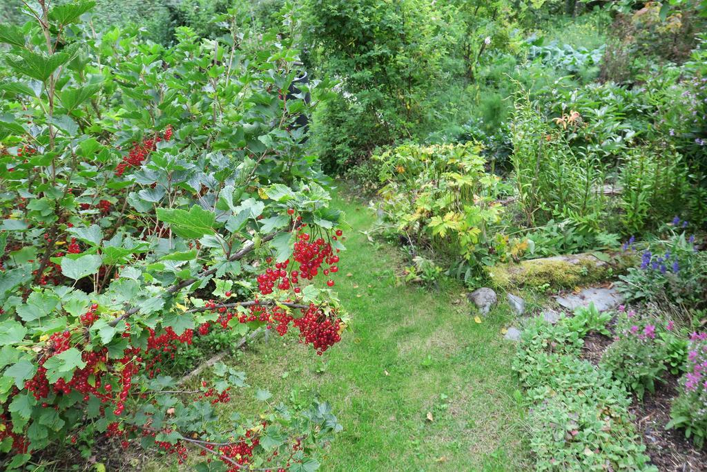 Brigitte'S Bavarian Bed Und Breakfast Millers Landing Zewnętrze zdjęcie